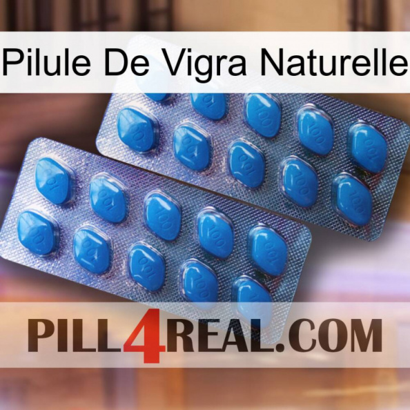 Natural Vigra Pill viagra2.jpg